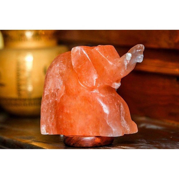 Elephant Salt Lamp Pink Q amp a Himalayan Salt