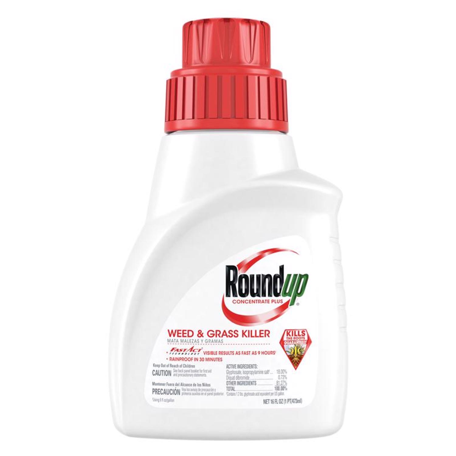 Roundup Weed and Grass Killer Concentrate 16 oz