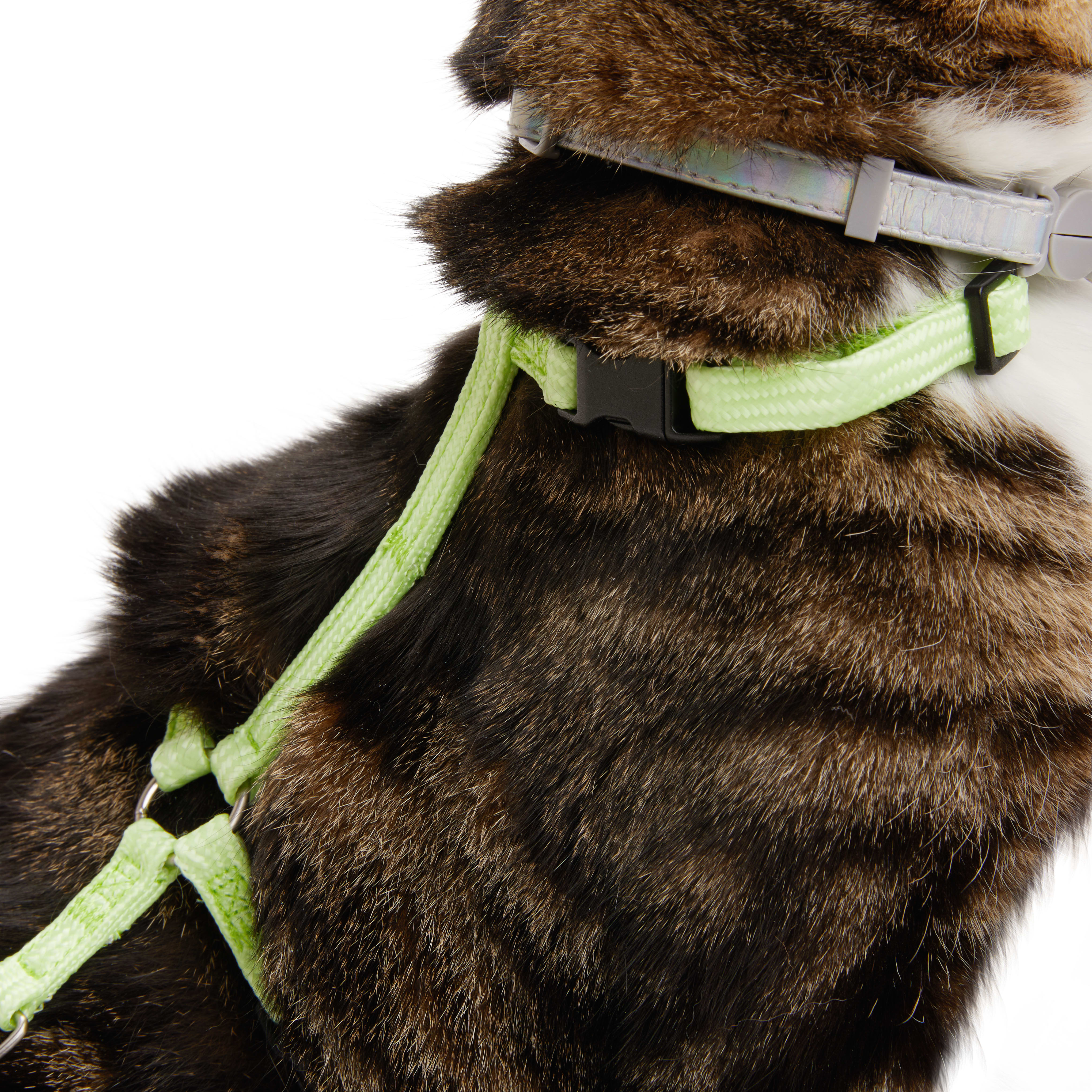 YOULY Green Glow in the Dark Cat Harness  Lead