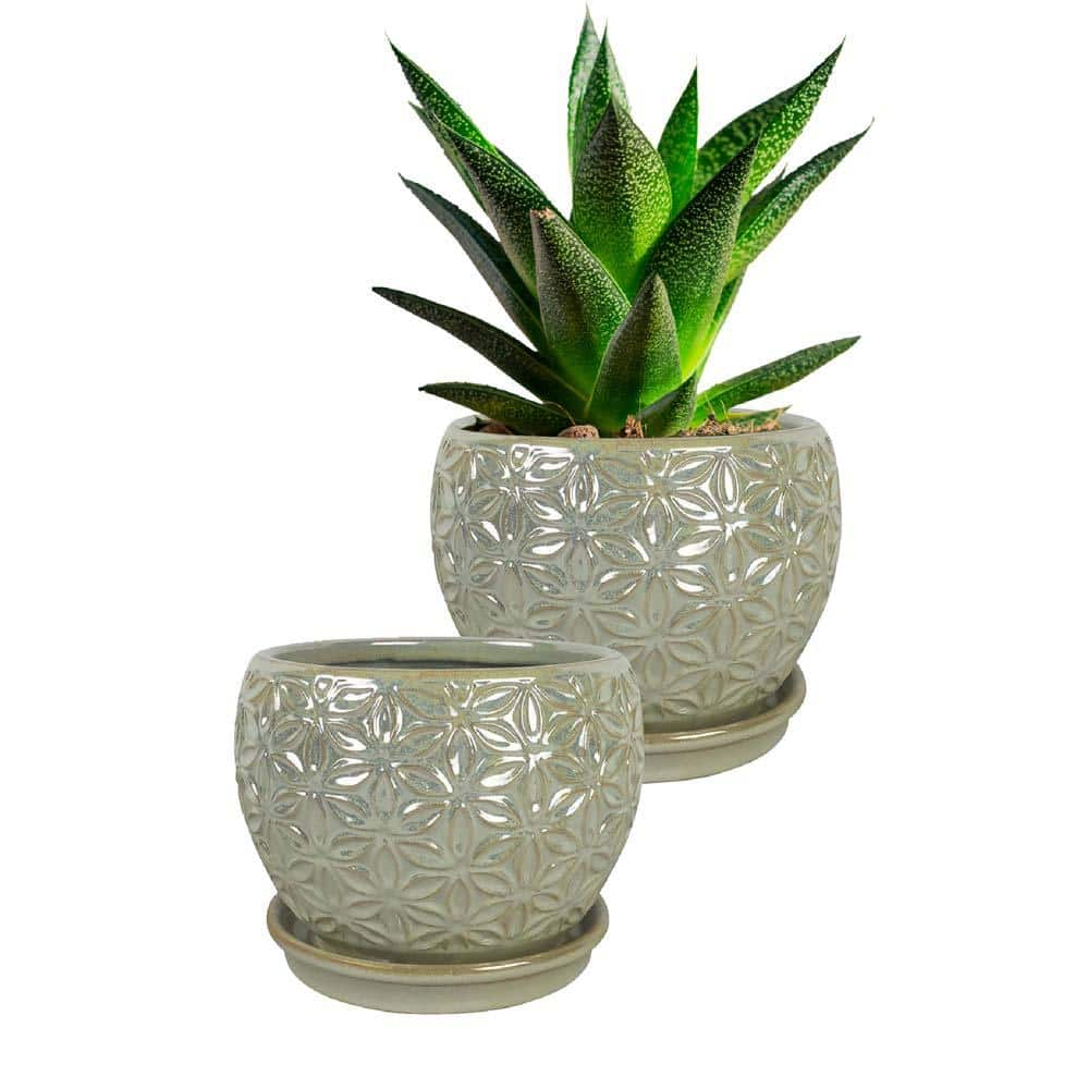 Southern Patio Elora Small 8 in. 3 Qt. Dia Pearl Ceramic Indoor Pot (2-Pack) CRM-047100P2