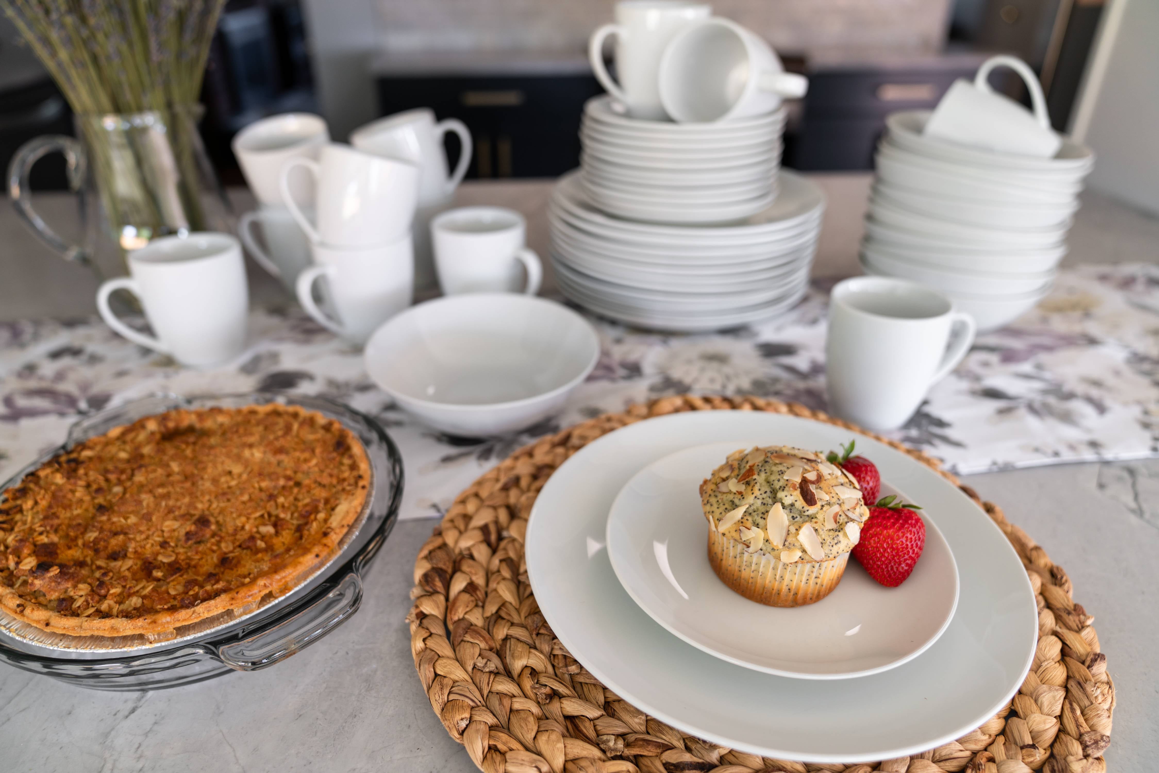 10 Strawberry Street 7 Catering Coupe Ceramic Cereal Bowl， Set of 12， White