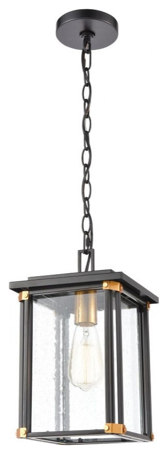 Rectangular 1 Light Outdoor Hanging Lantern Ceiling Light Brass Accents   Transitional   Outdoor Hanging Lights   by Bailey Street Home  Houzz