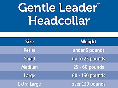 PetSafe Gentle Leader Chic Padded Dog Headcollar and Leash