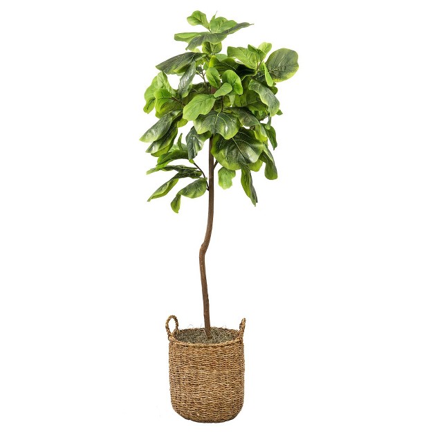 5' Artificial Fig Tree In Natural Basket - Lcg Florals