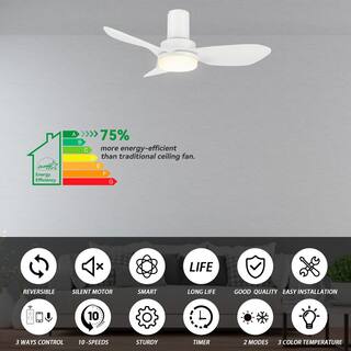 CARRO Daisy 36 in. Dimmable LED IndoorOutdoor White Smart Ceiling Fan with Light and Remote Works with AlexaGoogle Home HS363V2-L12-W1-1-FM