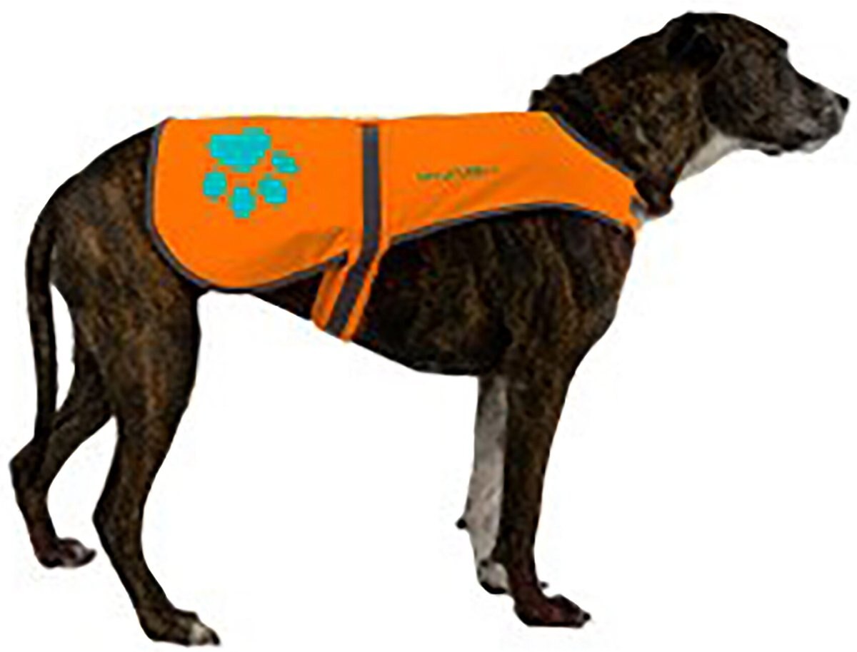 SafetyPUP XD Reflective Dog Vest