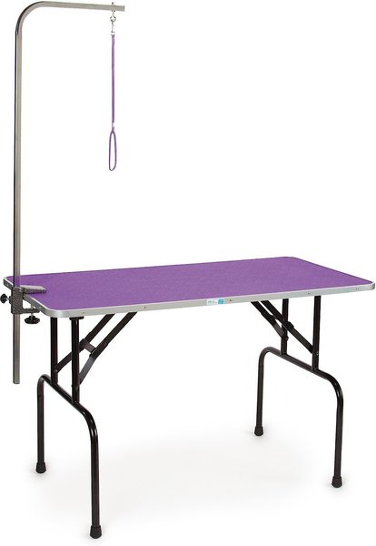 Master Equipment Dog Grooming Table with Arm