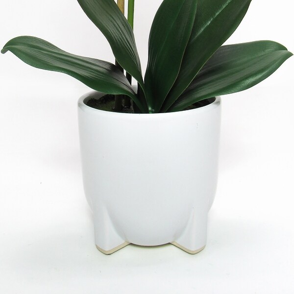 Cream White Artificial Phalaenopsis Orchid Flower Arrangement in White Modern Ceramic Pot 25in