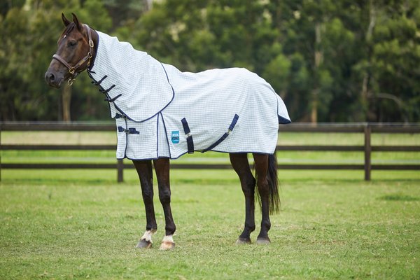 Kool Coat Classic with Surcingles III Combo Neck Horse Blanket