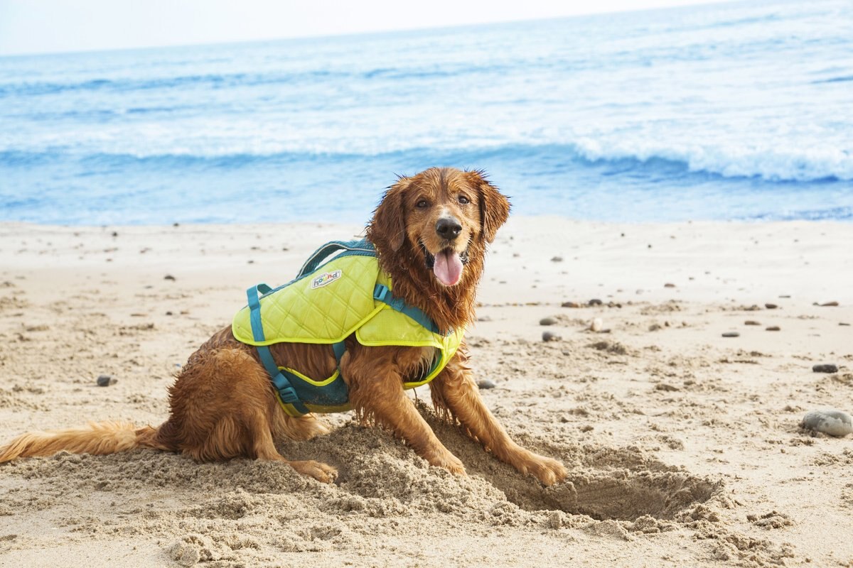 Outward Hound Standley Sport Dog Life Jacket