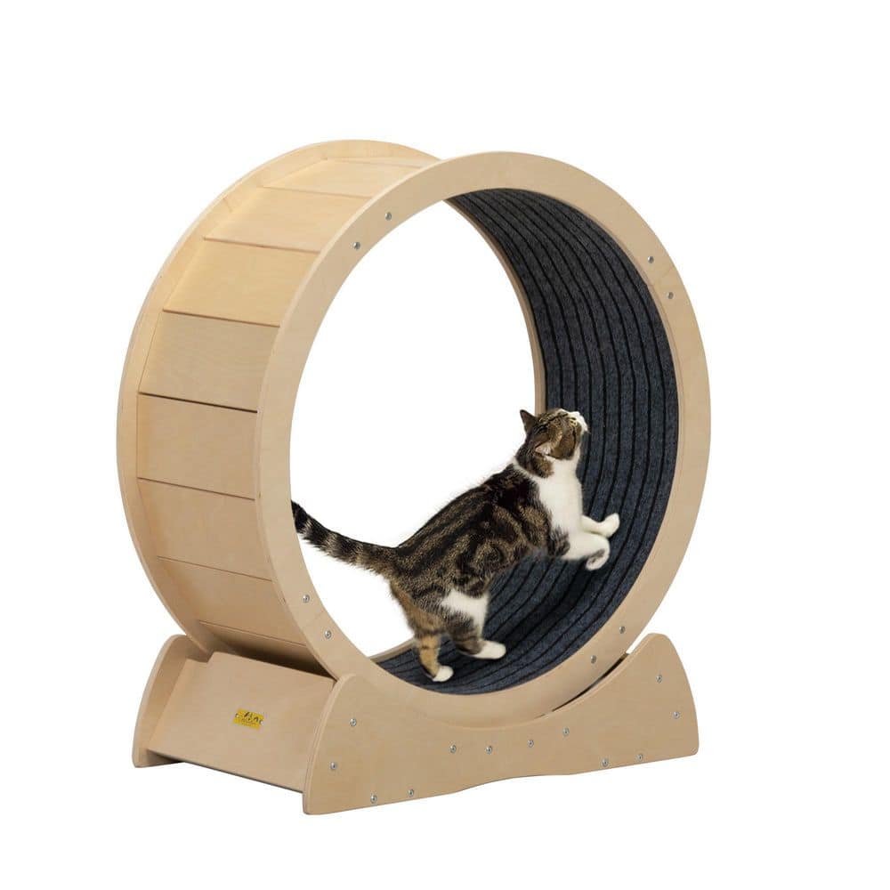 COZIWOW Cat Exercise Wheel Indoor Large Cat Toy with Movable Carpet CW12S0498