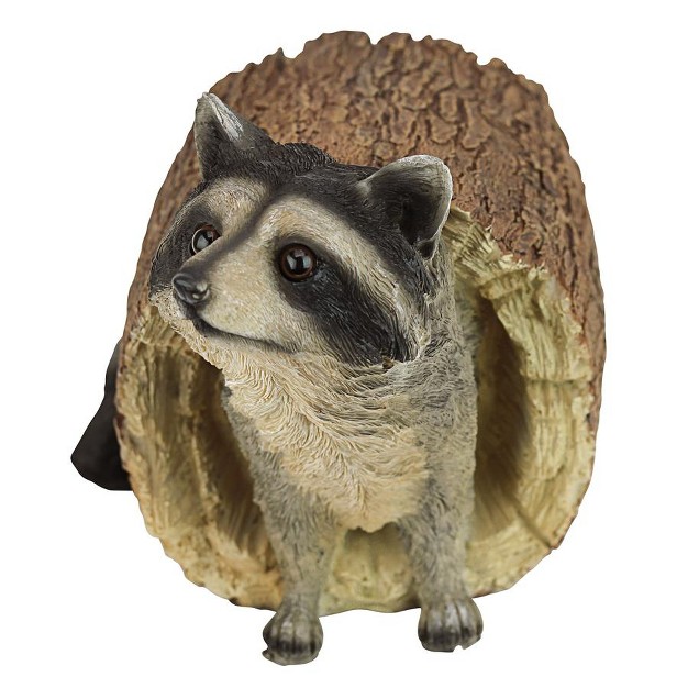 Design Toscano Bandit The Raccoon Statue Black