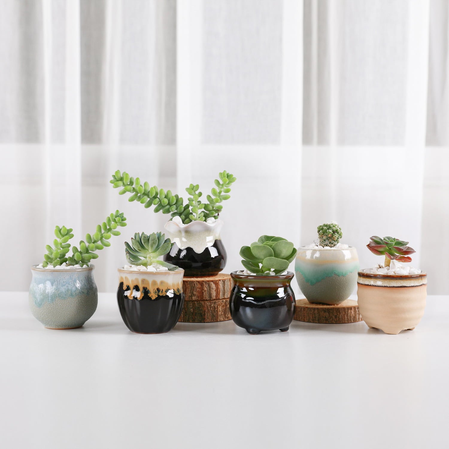 T4U Small Ceramic Succulent Pots Cactus Planter Pots with Multi-Color for Home and Office Decor, Set of 6