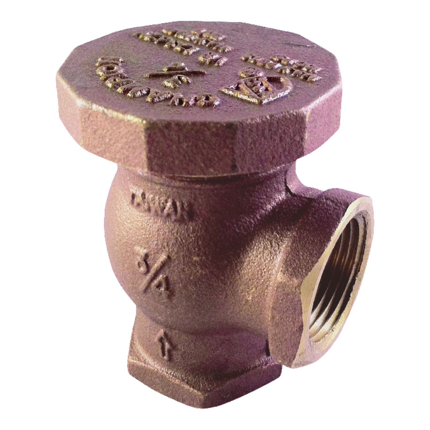 Champion Angle Valve 3/4 in. 150 psi