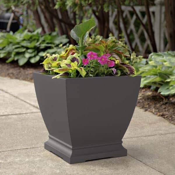 Mayne Acadia 20 in. Square Self-Watering Graphite Grey Polyethylene Planter 5920-GRG