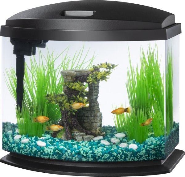 Aqueon LED MiniBow SmartClean Fish Aquarium Kit