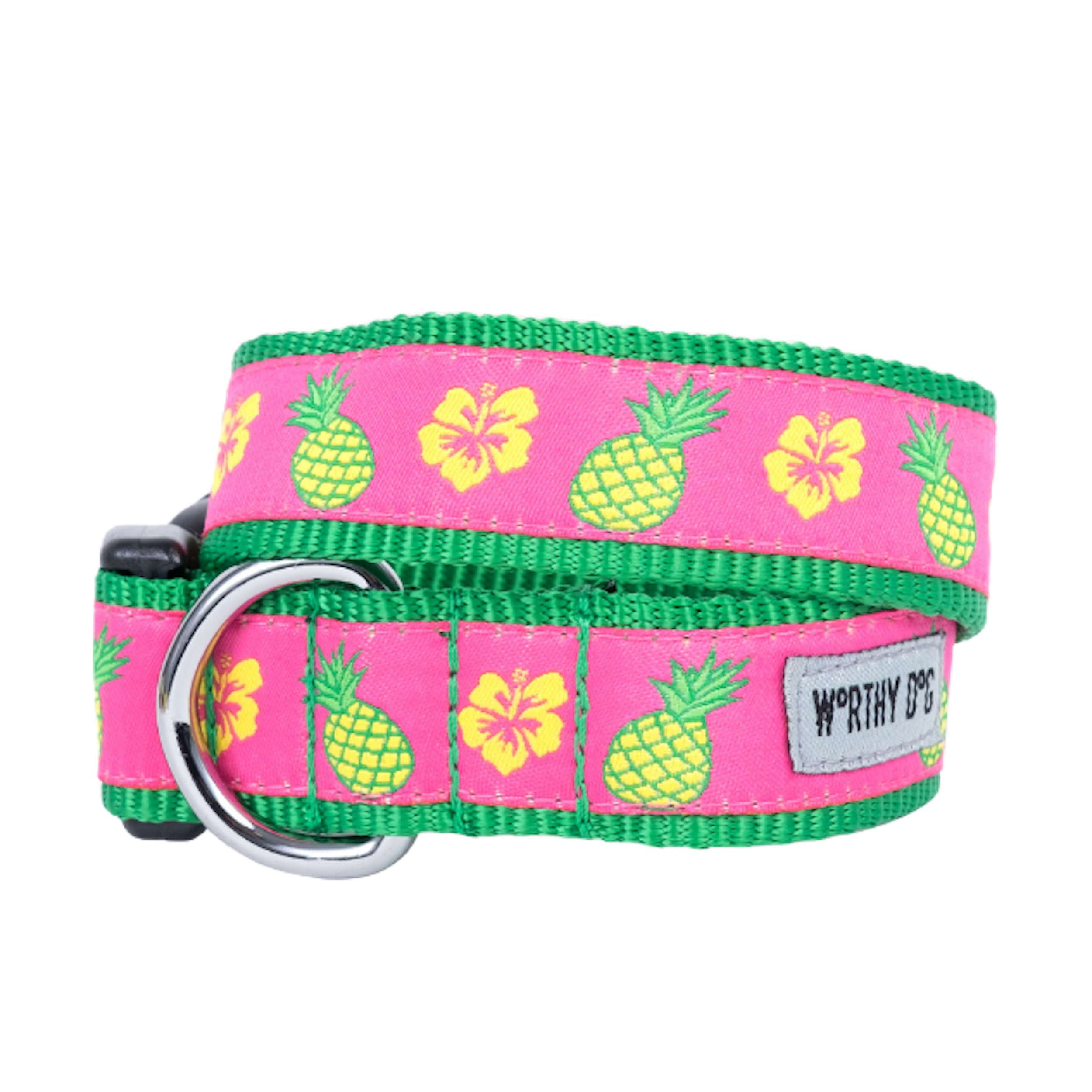 Collar | Pineapple Delight