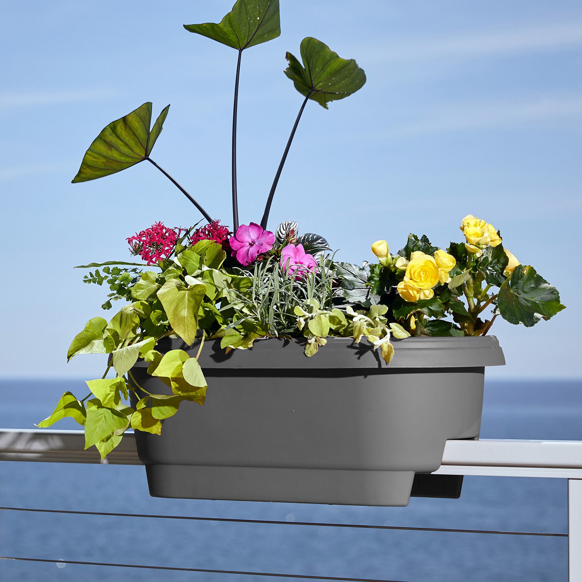 Bloem Modica Deck Rail Round Planter: 24" - Charcoal Gray - Matte Finish, Fits Rail Sizes 4.75"-5.75", Durable Resin Pot, For Indoor and Outdoor Use, Gardening, 4 Gallon Capacity