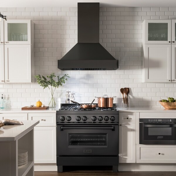 ZLINE Vent Black Stainless Steel Wall-mounted Range Hood