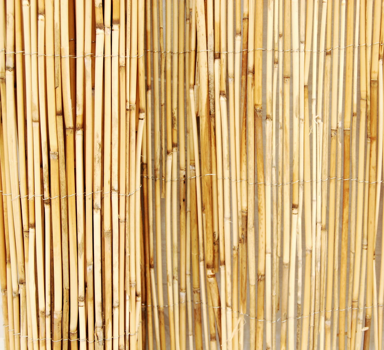 Backyard X-Scapes 6' H x 16' L Natural Reed Fence Panel