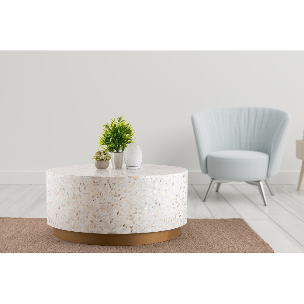 Luxe Handmade Mother of Pearl Coffee Table