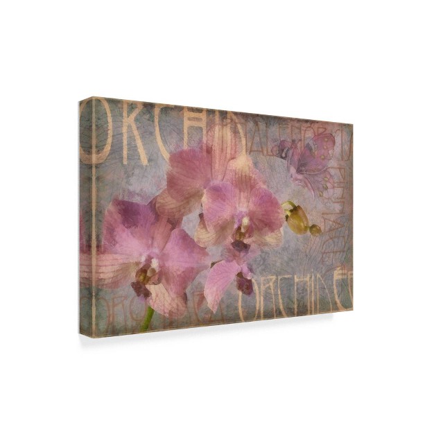 X 32 quot Orchid I By Cora Niele Trademark Fine Art