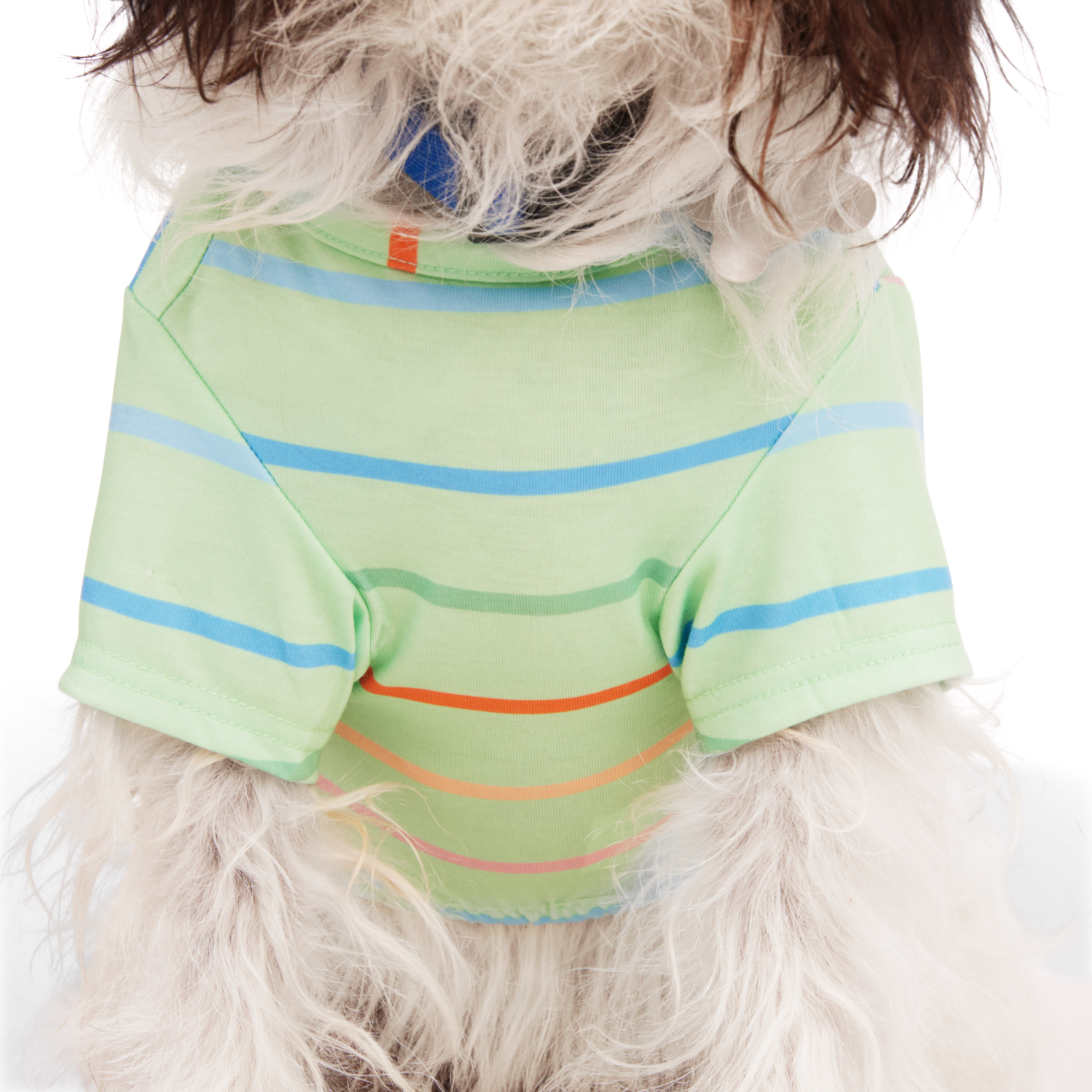 YOULY Green Striped Dog Tee， X-Small