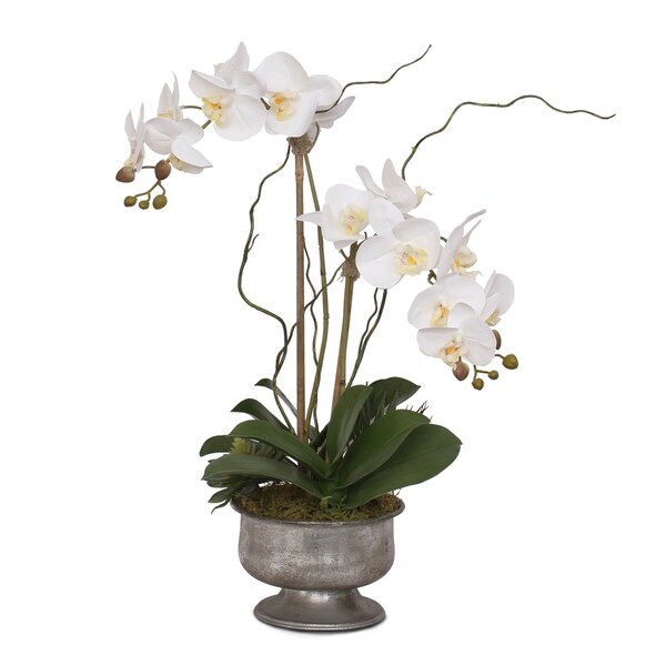 Real Touch White Orchids with Succulent in Silver Aged Metal Pot