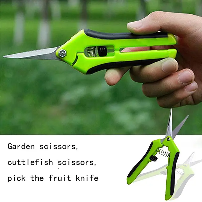 Dropship 6.5Inch Gardening Scissors Hand Pruner Pruning Shear with Straight Stainless Steel Blades for Garden Harvesting Fruits