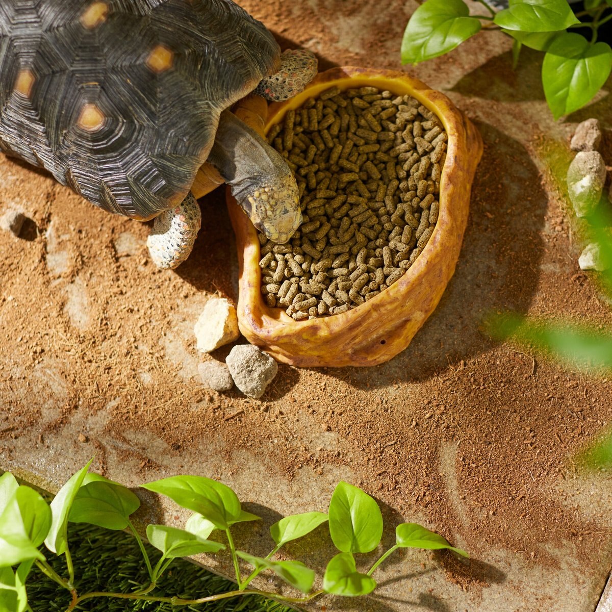 Mazuri Tortoise LS (Low Starch) Food