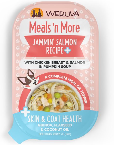 Weruva Classic Dog Meals 'n More Jammin’ Salmon Recipe Plus Wet Dog Food， 3.5-oz cup， case of 12