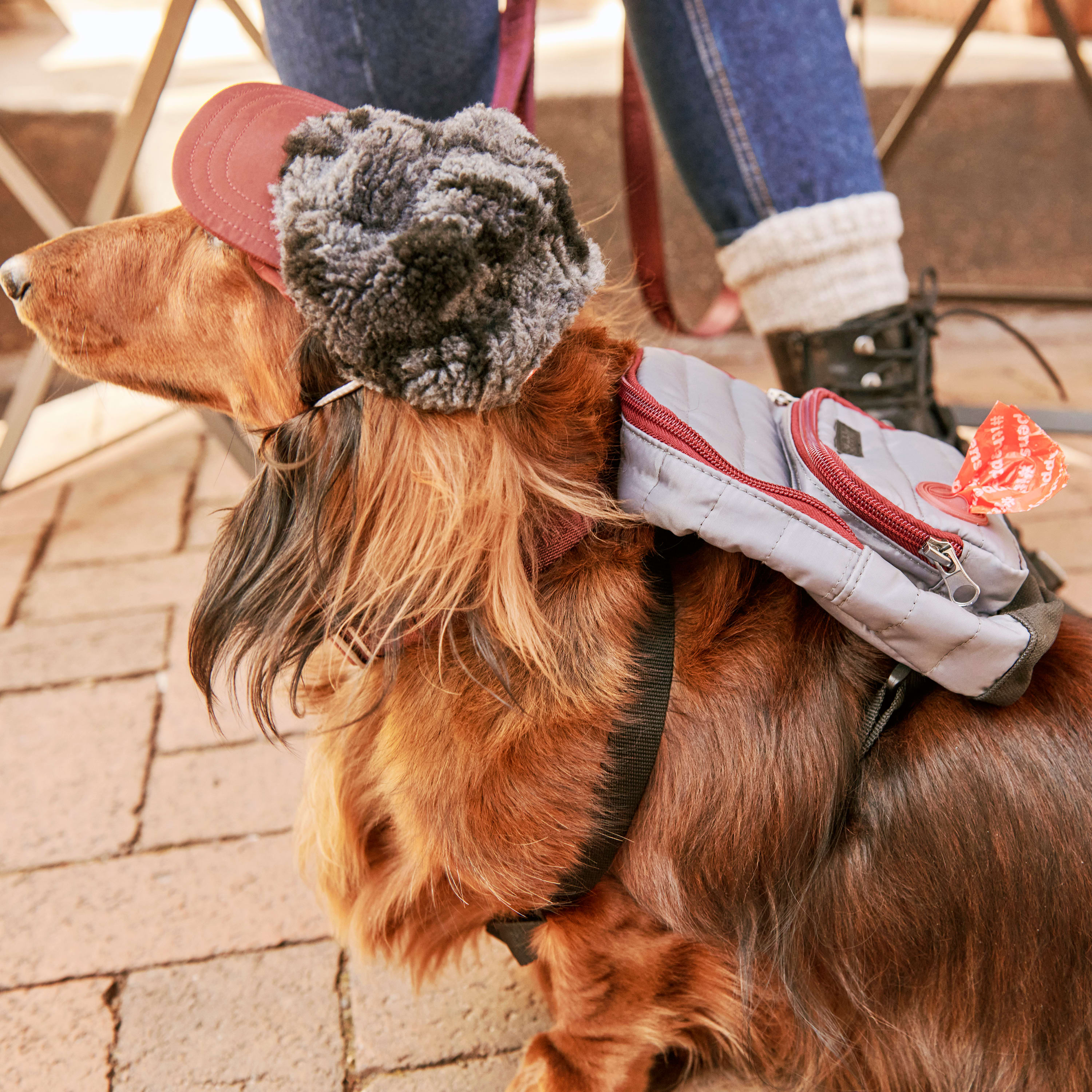 Reddy Sherpa Dog Hat， X-Small/Small