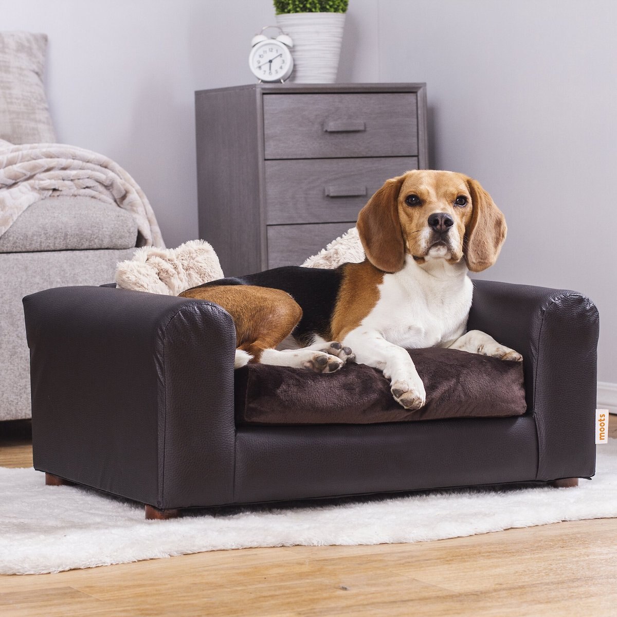 Moots Premium Leatherette Sofa Removable Cover Orthopedic Elevated Cat and Dog Bed