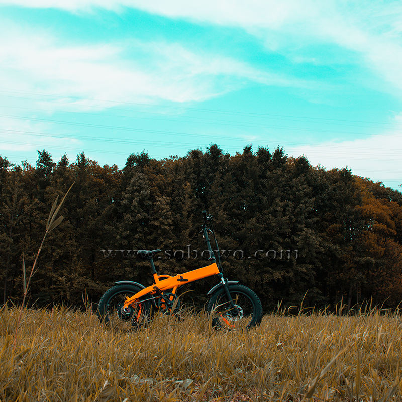 customized aluminum electric cycle 2 seater city e bikes 48 volt 500 watts folding ebike 20 inch fat tire electric bike