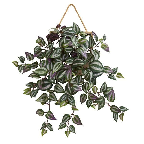 20 Wandering Jew Artificial Plant in Decorative Hanging Frame