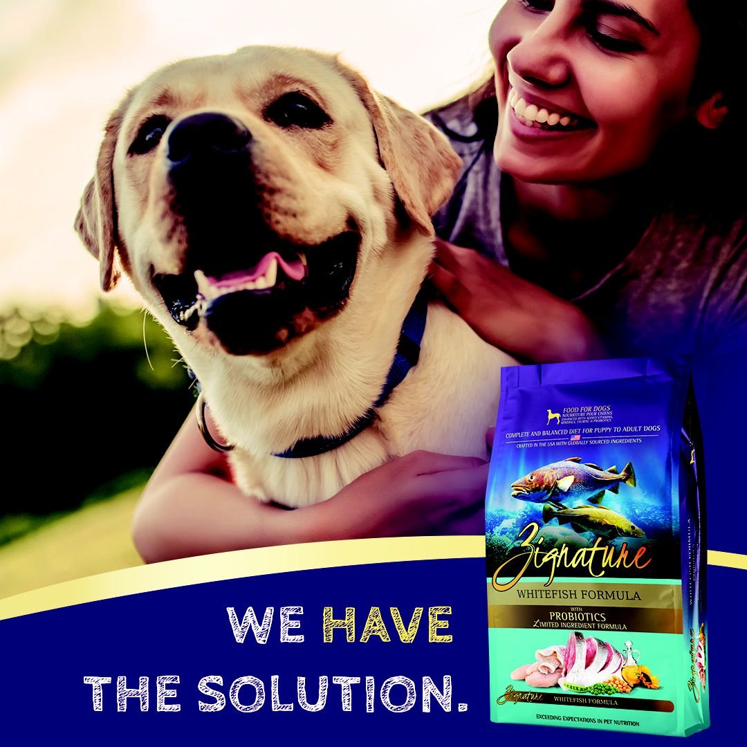 Zignature Whitefish Limited Ingredient Formula Dry Dog Food