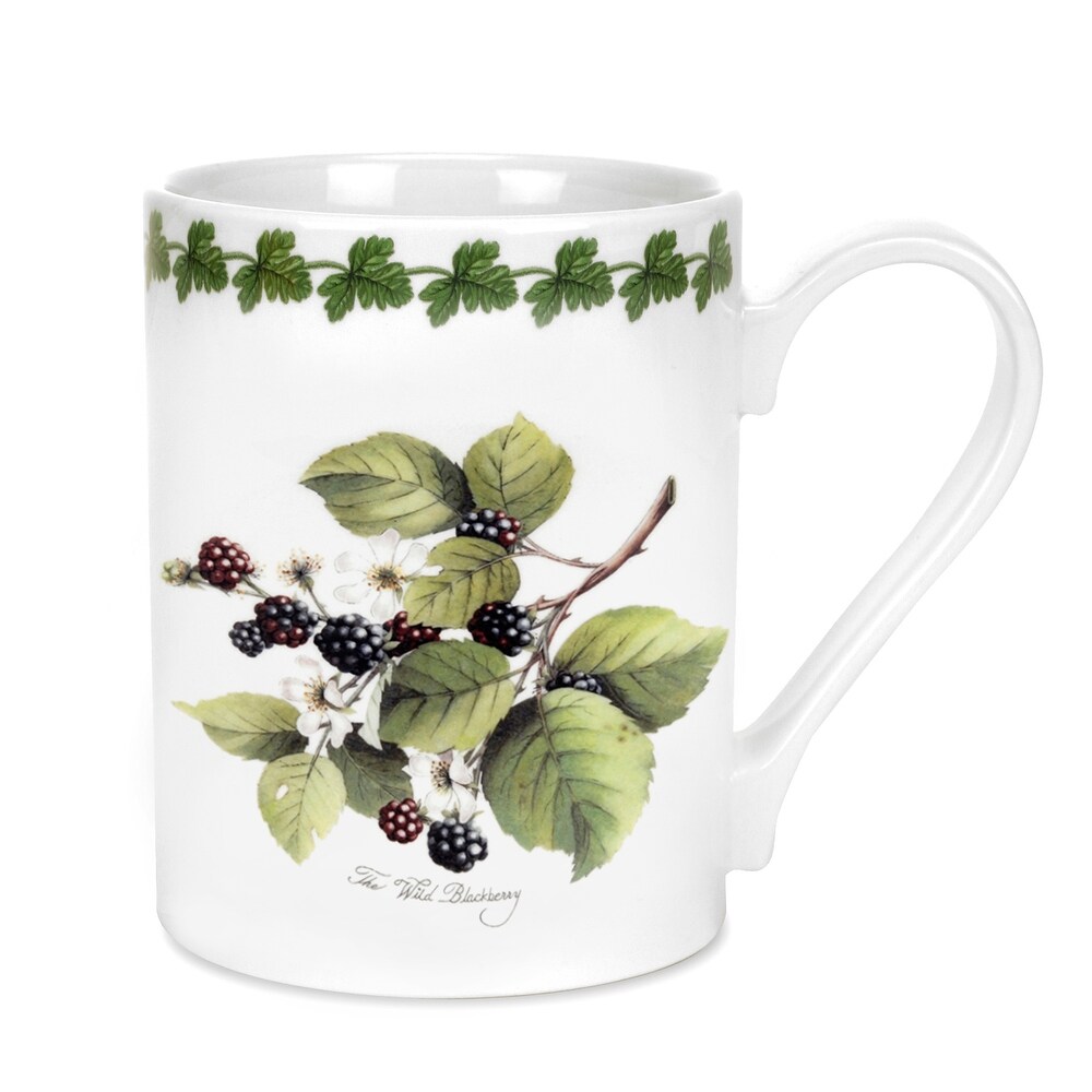 Portmeirion Pomona Tankard Mug Set of 6 Assorted Motifs