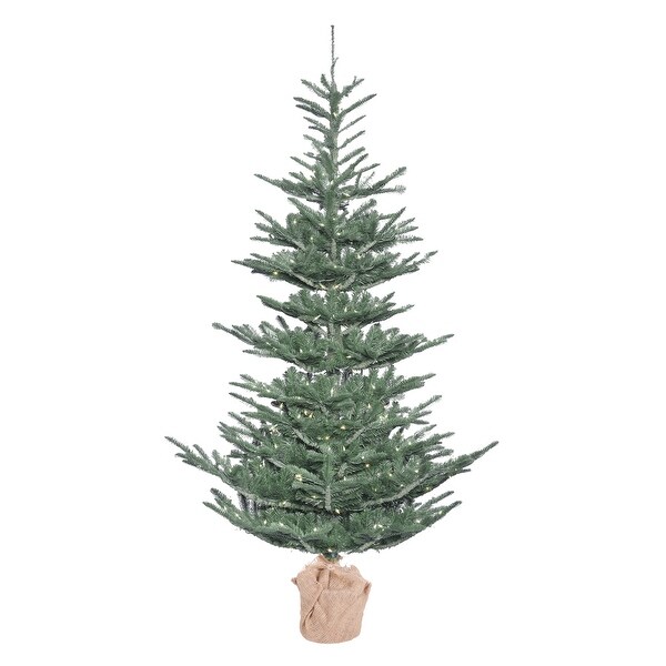 Vickerman 5' Alberta Blue Spruce Artificial Christmas Tree，Warm White Duralit LED Lights