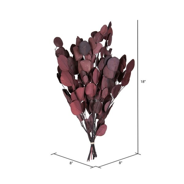 Vickerman Natural Botanicals 1820 x 8 Eucalyptus Populus Red，100 grams per unit