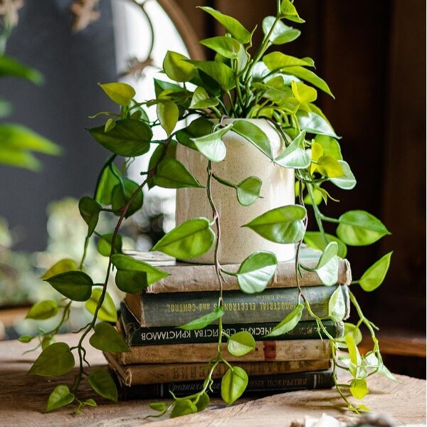 RusticReach Artificial Devil's Ivy Plant in White Pot