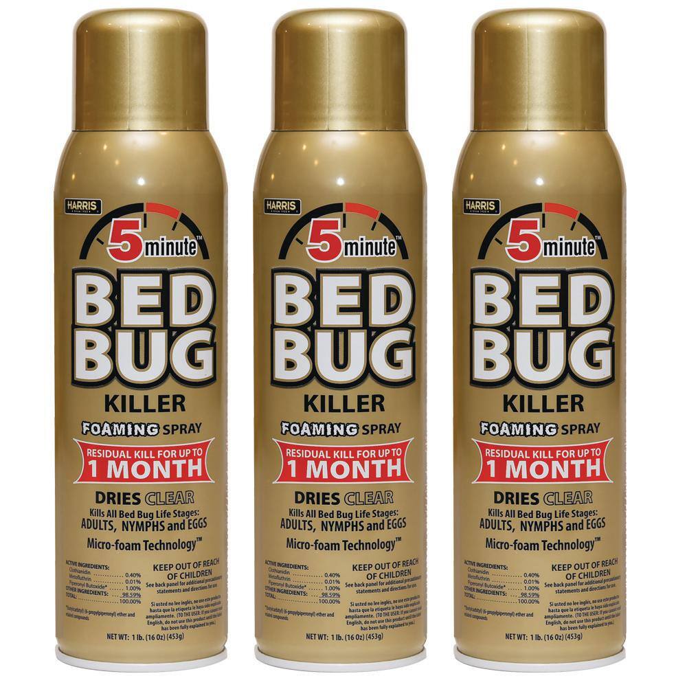 Harris 16 oz. 5-Minute Bed Bug Killer Foaming SprayKills All Life Stages (3-Pack) 3GOLDBB-16A