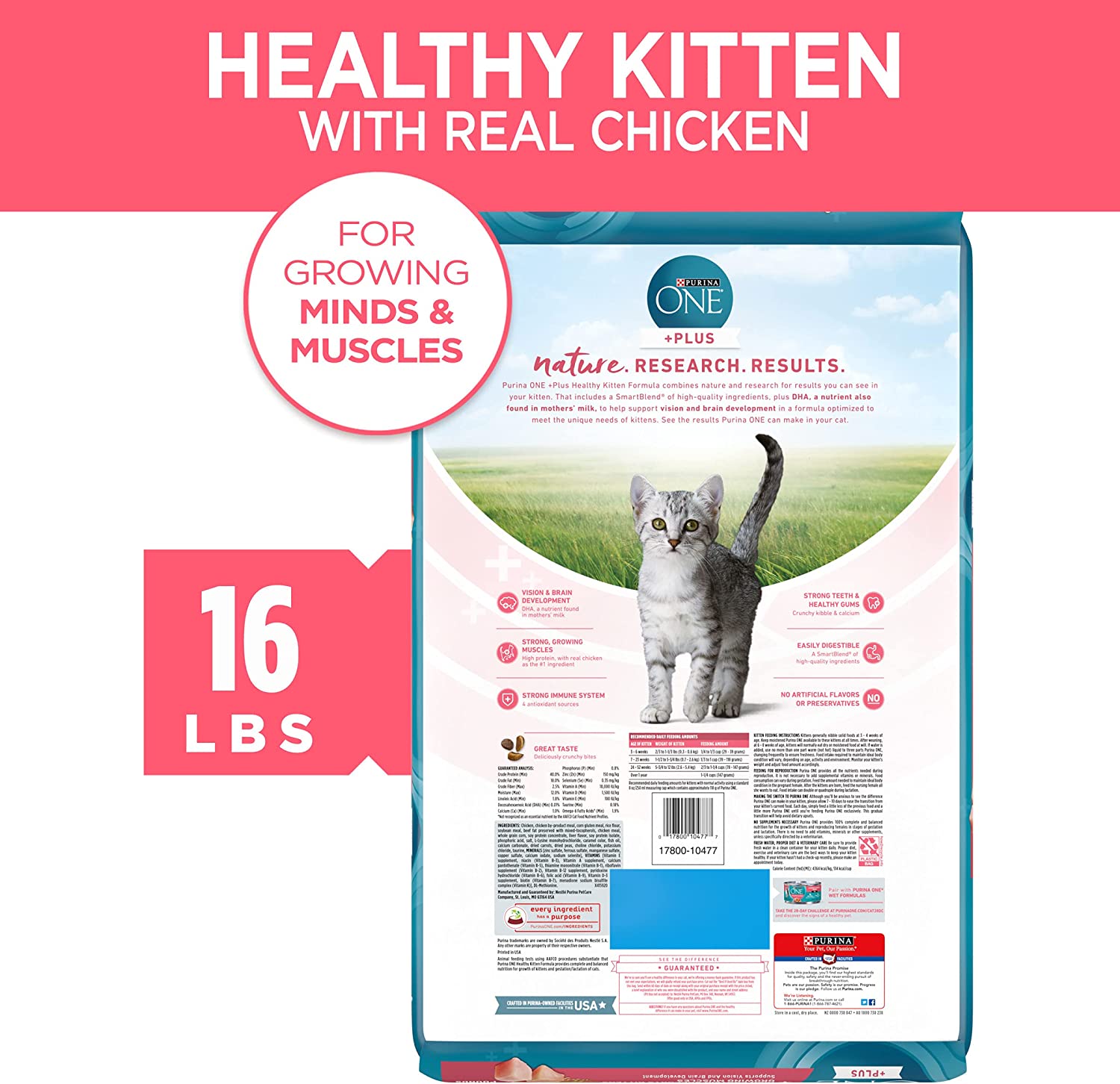 Purina ONE High Protein Natural Dry Kitten Food， +Plus Healthy Kitten Formula - 16 lb. Bag