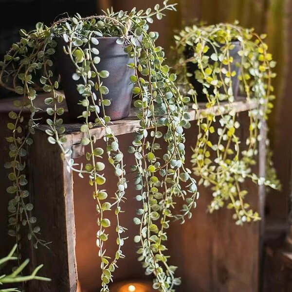 RusticReach Hanging Faux Ceropegia Vine in Pot