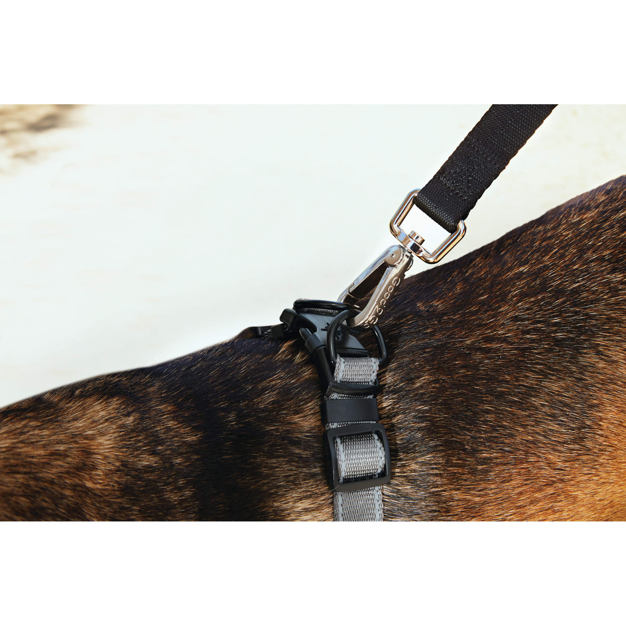 Good2Go Quick-Fit Dog Harness， X-Large/XX-Large