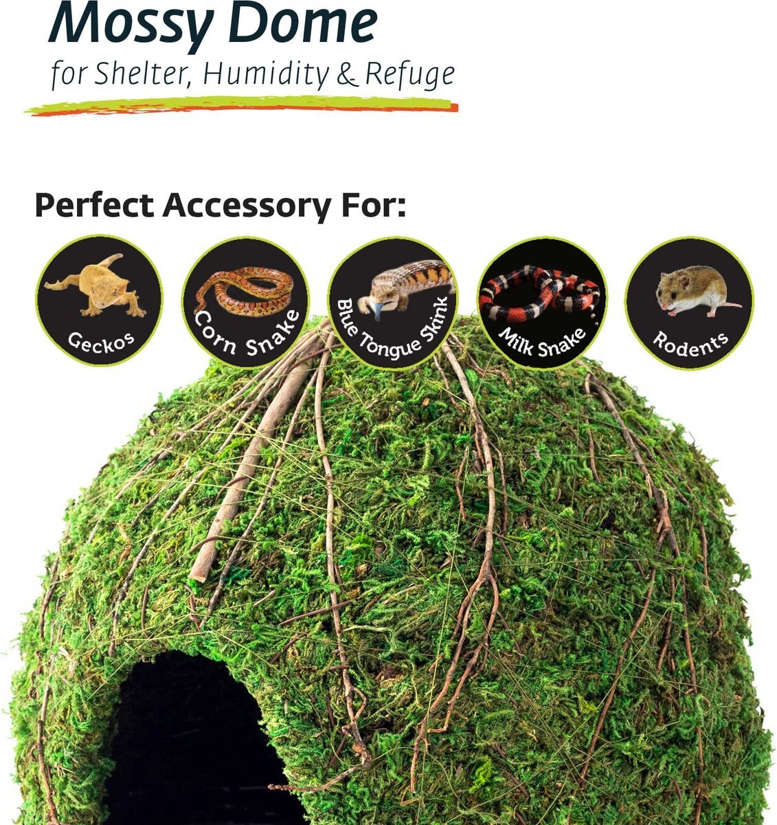 Galapagos Mossy Dome Reptile and Amphibian Terrarium Accessory， Fresh Green