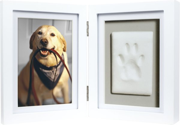 Pearhead Pawprints Desk Frame， 4 x 6-in