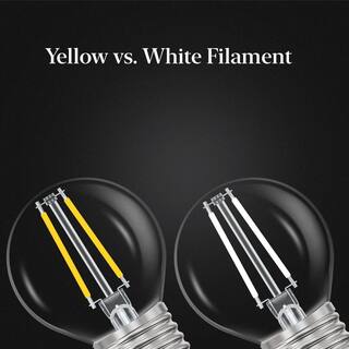 Feit Electric 60-Watt Equivalent G16.5 E26 Standard Dimmable White Filament CEC Clear Glass LED Light Bulb Soft White 2700K (2-Pack) GM1660927CAWFILHDRP2