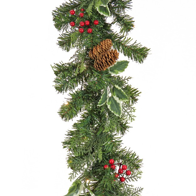 National Tree Company First Traditions Pre lit Christmas Evergeen Garland With Pinecones And Berries Warm White Led Lights Plug In 6 Ft