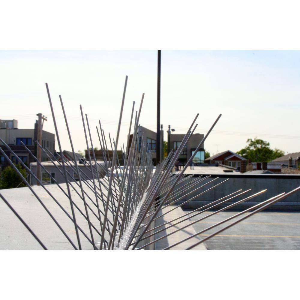 Bird-X 24 ft. Original Commercial Grade Stainless Steel Bird Spikes STS-24