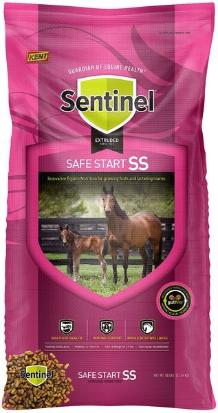 Kent Sentinel Safe Start Horse Food， 50-lb bag